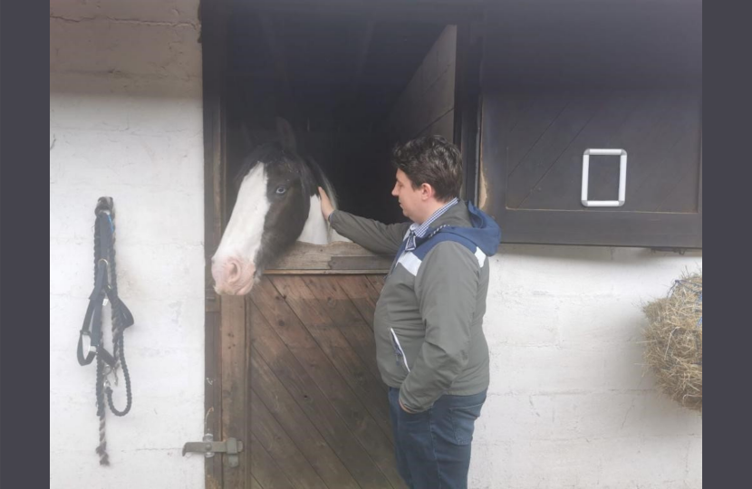 Shaun with a horse